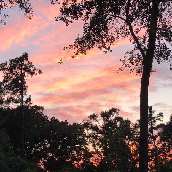 Meet your Posher, Grace - Picture 1 of 1